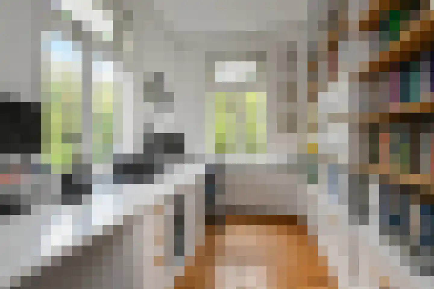 Oosteinde 213 Voorburg thumbnail 30