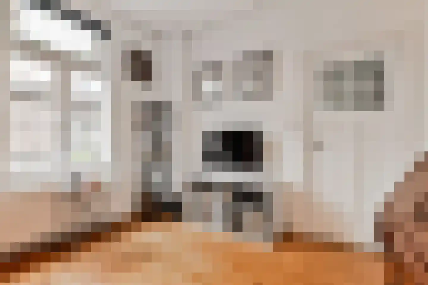 Oosteinde 213 Voorburg thumbnail 34