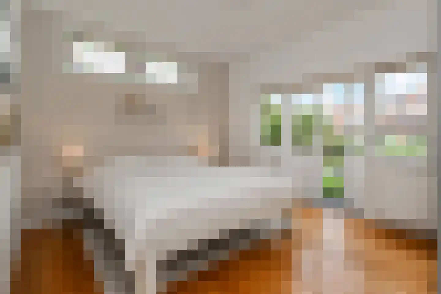 Oosteinde 213 Voorburg thumbnail 35