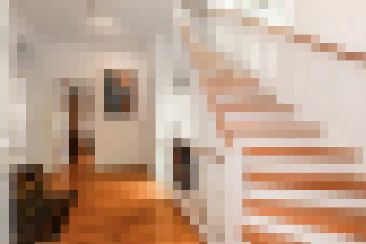 Oosteinde 213 Voorburg thumbnail 39