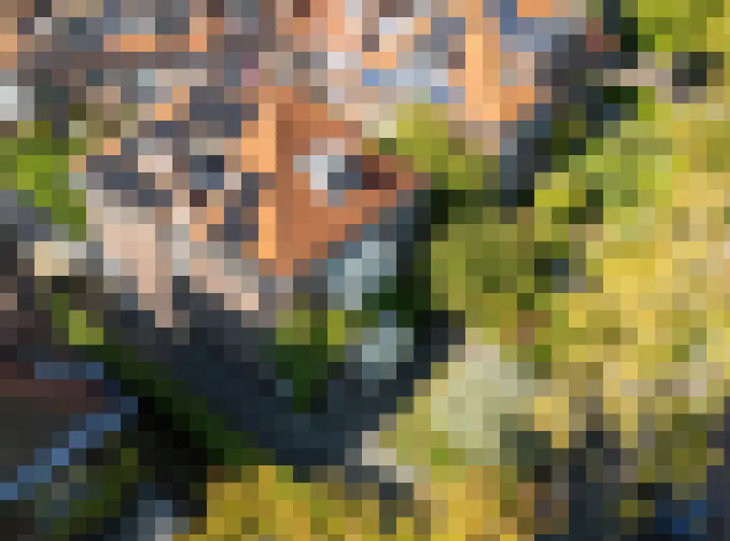 Oosteinde 213 Voorburg thumbnail 4