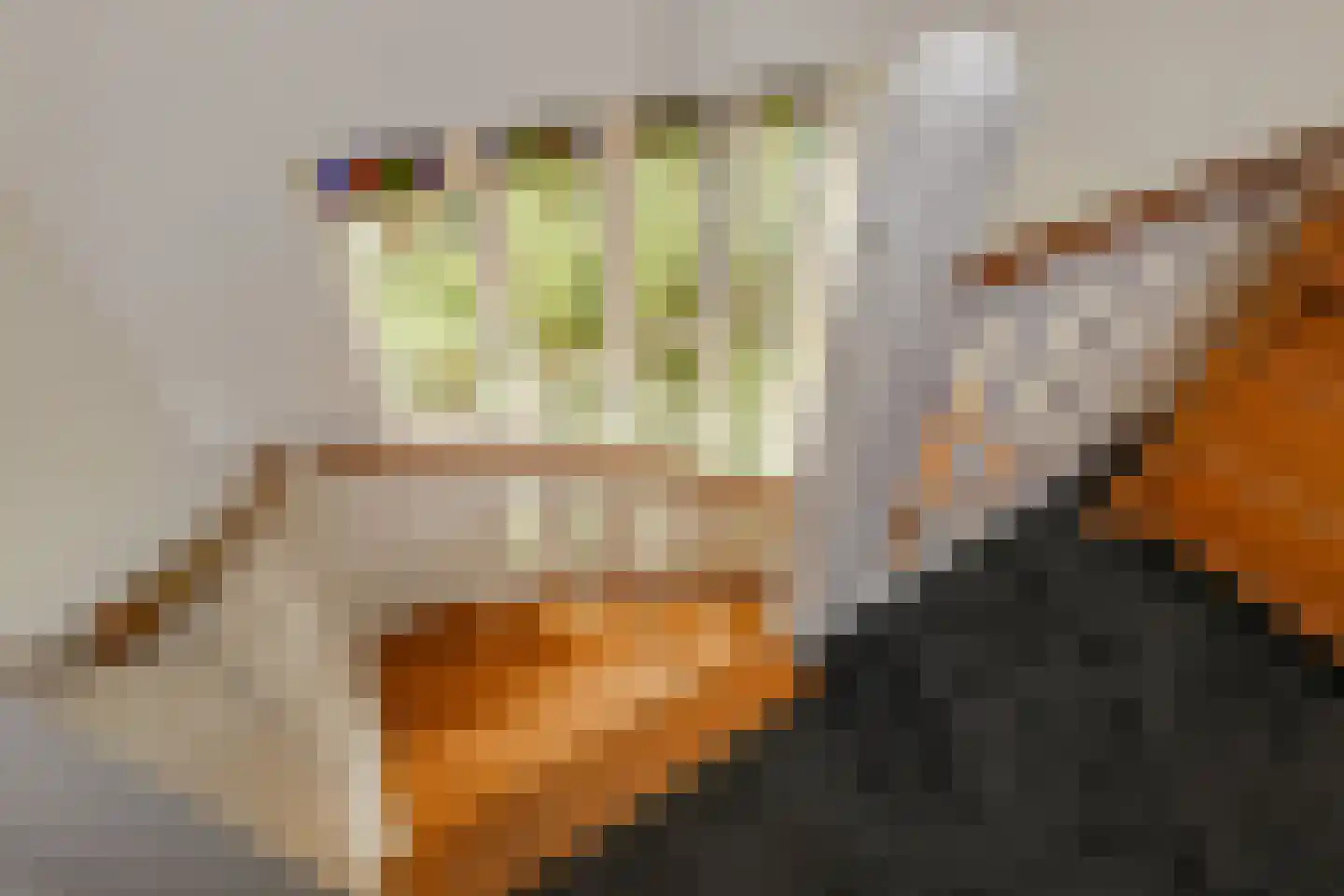 Oosteinde 213 Voorburg thumbnail 40