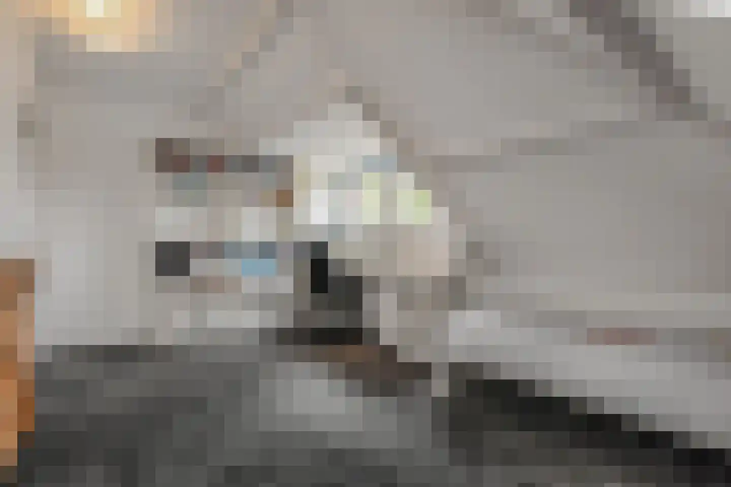 Oosteinde 213 Voorburg thumbnail 45