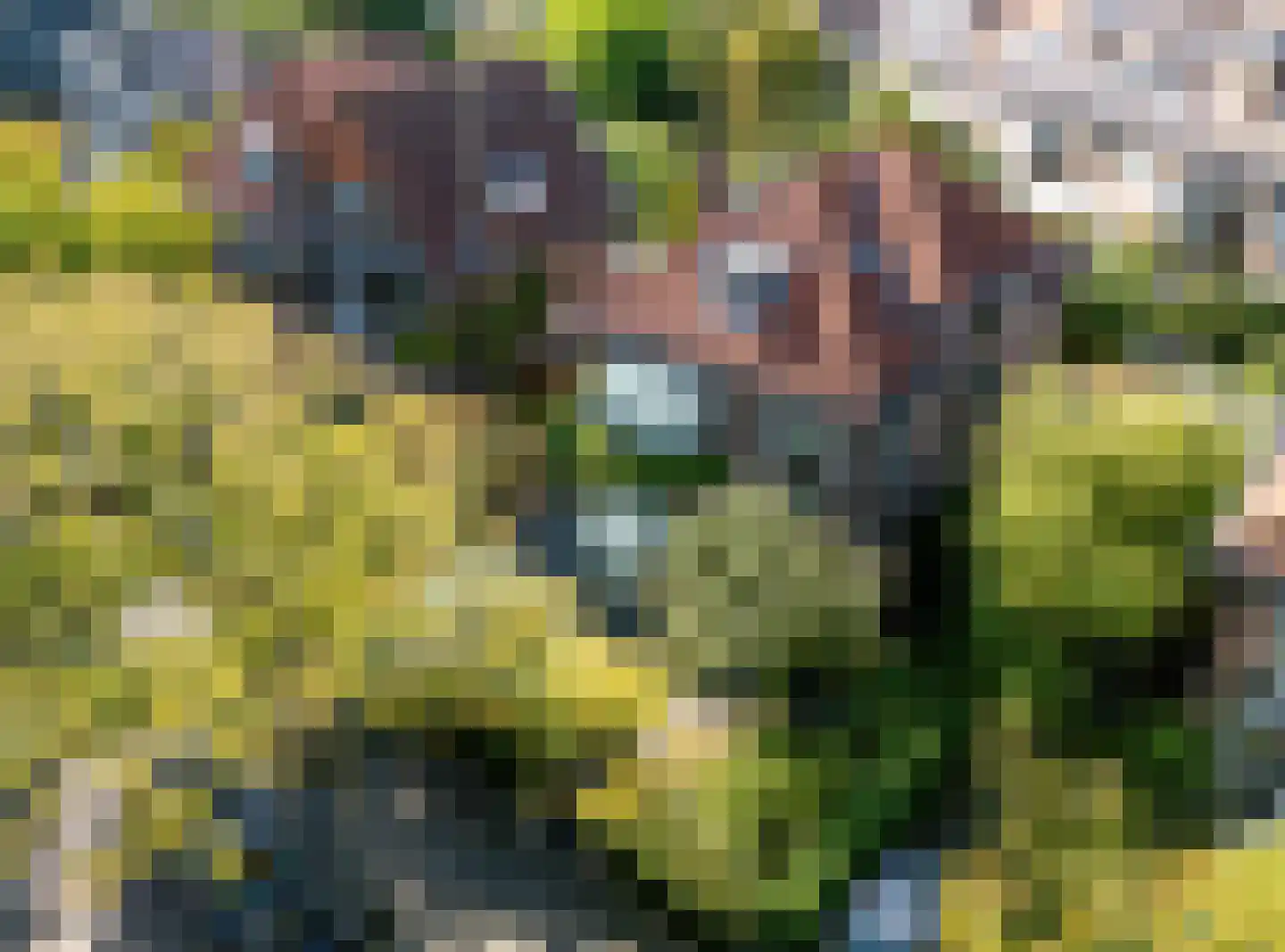 Oosteinde 213 Voorburg thumbnail 5