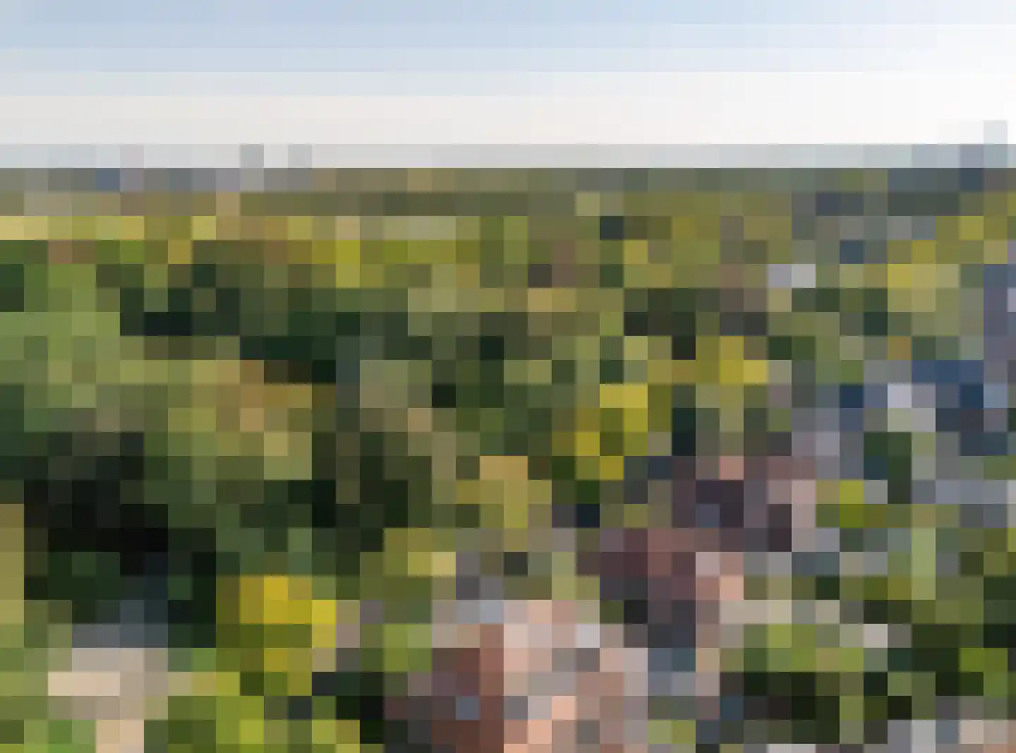 Oosteinde 213 Voorburg thumbnail 7