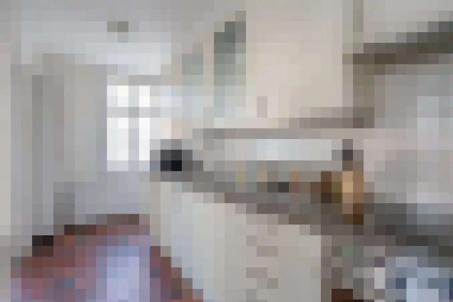 Oosteinde 214 Delft thumbnail 12