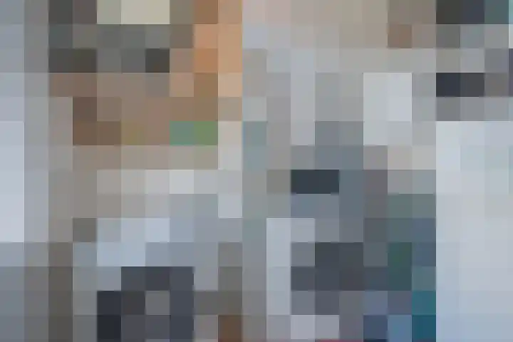 Oosteinde 214 Delft thumbnail 15