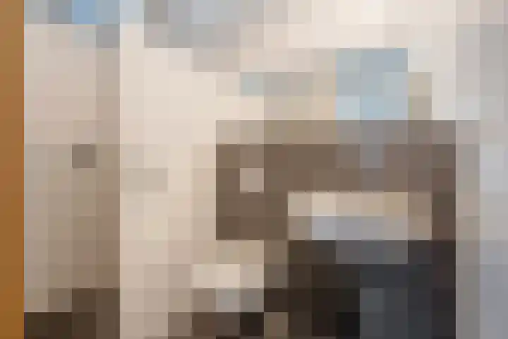 Oosteinde 214 Delft thumbnail 18