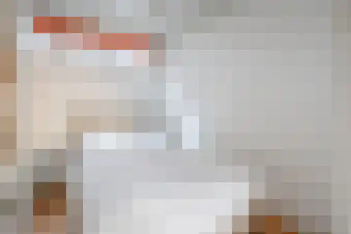 Oosteinde 214 Delft thumbnail 24