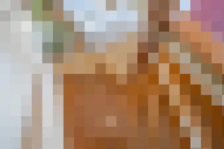 Oosteinde 214 Delft thumbnail 25