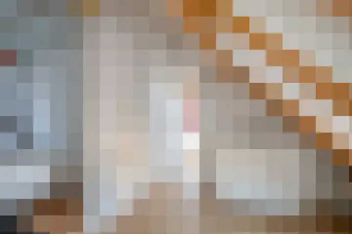 Oosteinde 214 Delft thumbnail 29