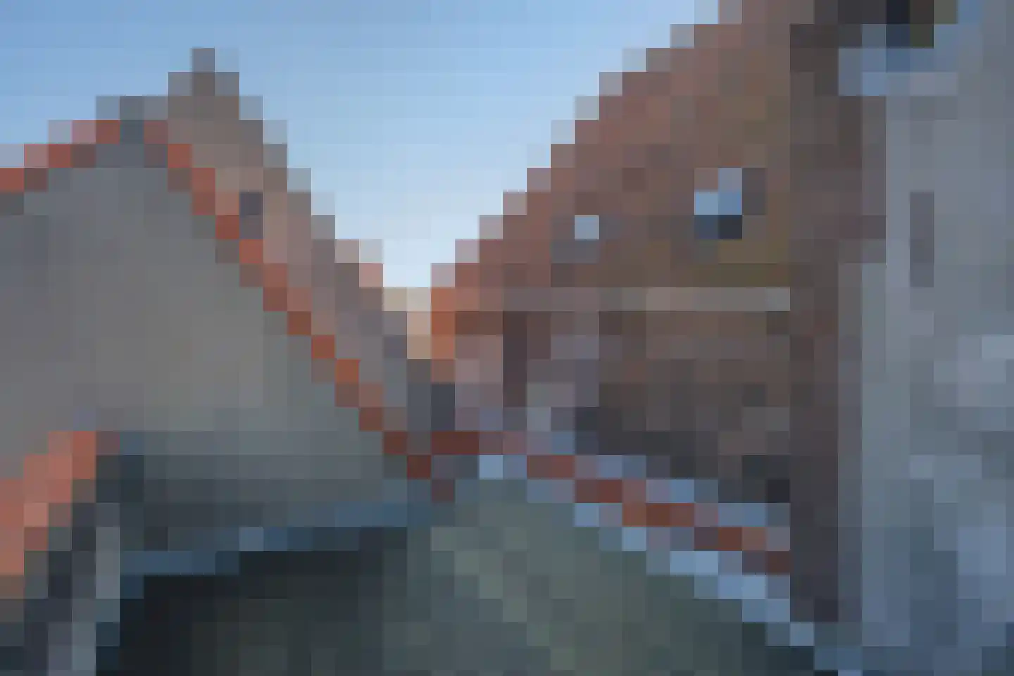 Oosteinde 214 Delft thumbnail 30