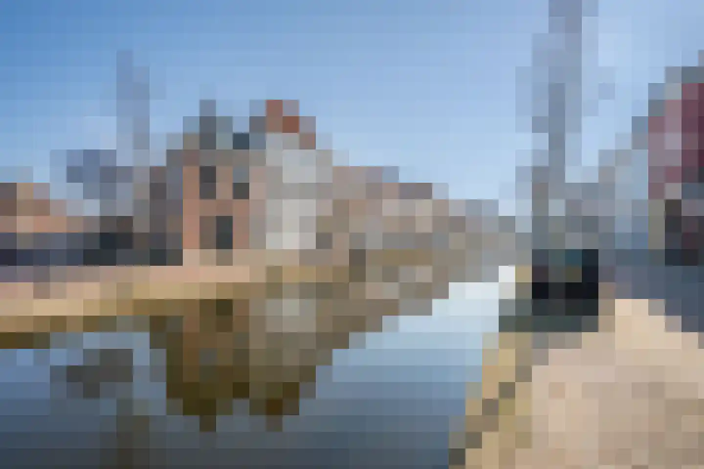 Oosteinde 214 Delft thumbnail 6
