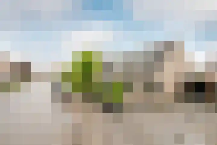 Oosteinde 22 a Oosthuizen thumbnail 42