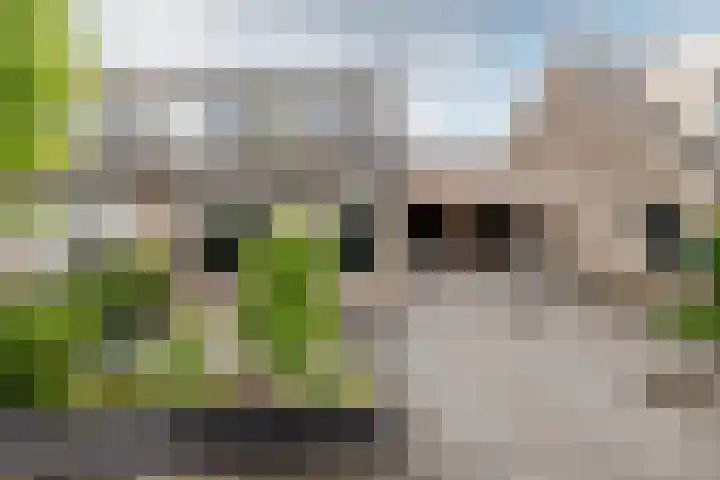 Oosteinde 22 a Oosthuizen thumbnail 5