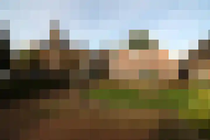 Oosteinde 23 Vriezenveen thumbnail 18