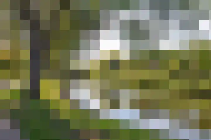 Oosteinde 23 Vriezenveen thumbnail 20
