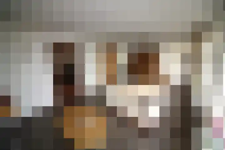 Oosteinde 23 Vriezenveen thumbnail 20