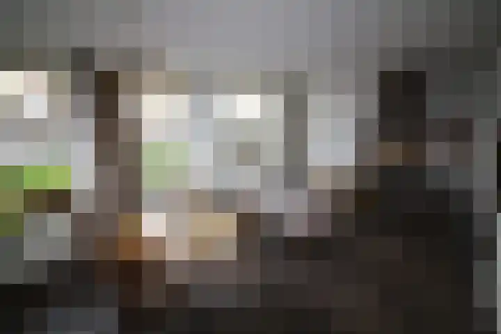 Oosteinde 23 Vriezenveen thumbnail 21