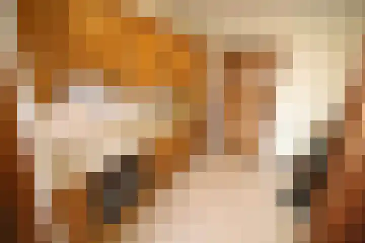 Oosteinde 23 Vriezenveen thumbnail 23