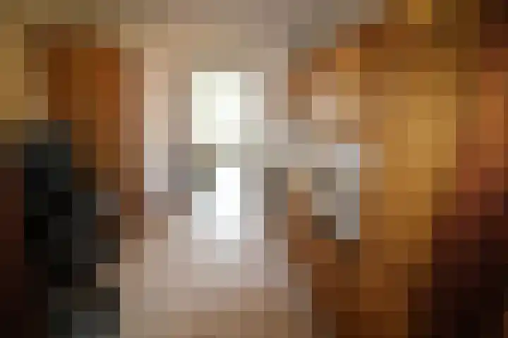 Oosteinde 23 Vriezenveen thumbnail 24