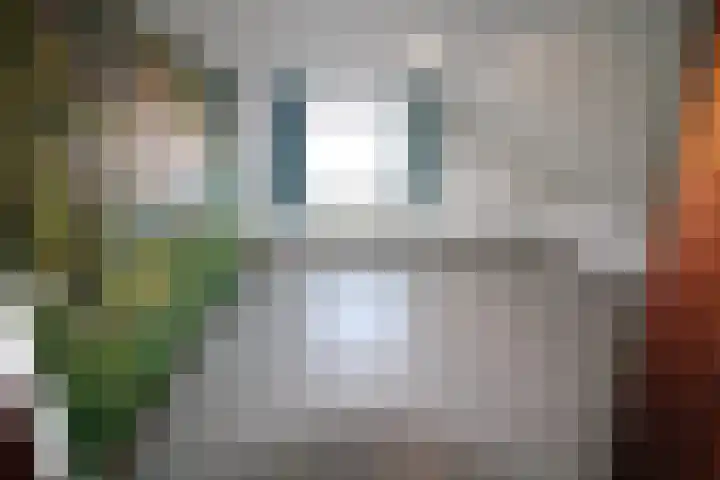 Oosteinde 23 Vriezenveen thumbnail 32