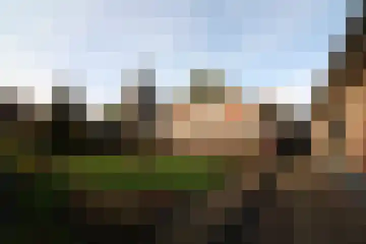Oosteinde 23 Vriezenveen thumbnail 34