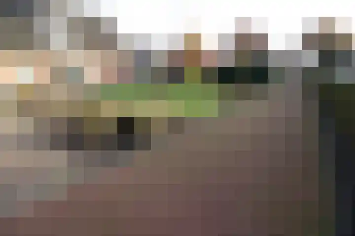Oosteinde 23 Vriezenveen thumbnail 38