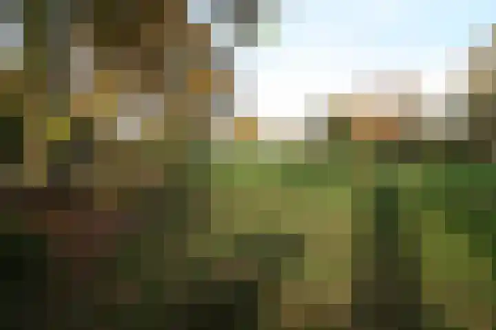Oosteinde 23 Vriezenveen thumbnail 44