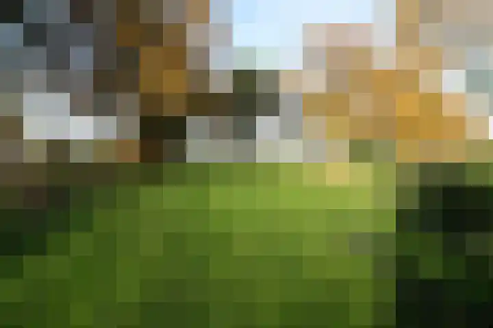 Oosteinde 23 Vriezenveen thumbnail 45