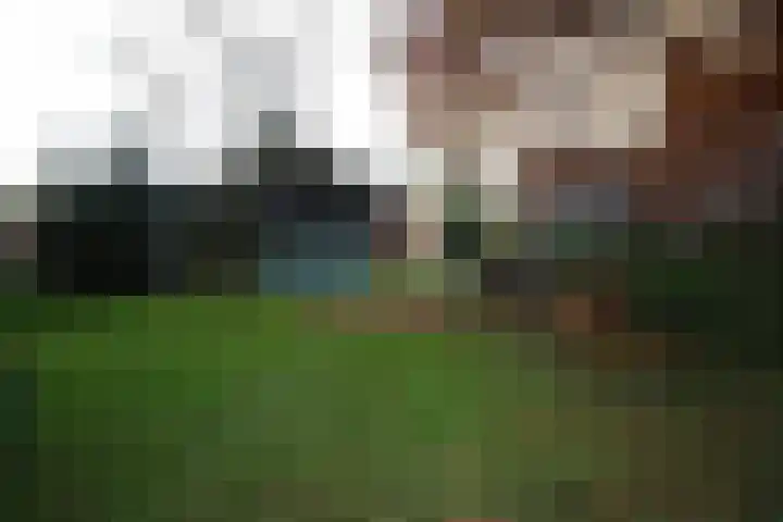 Oosteinde 23 Vriezenveen thumbnail 46