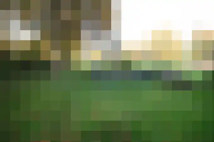 Oosteinde 23 Vriezenveen thumbnail 5