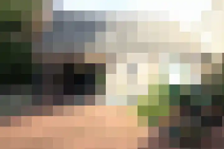 Oosteinde 23 Vriezenveen thumbnail 50