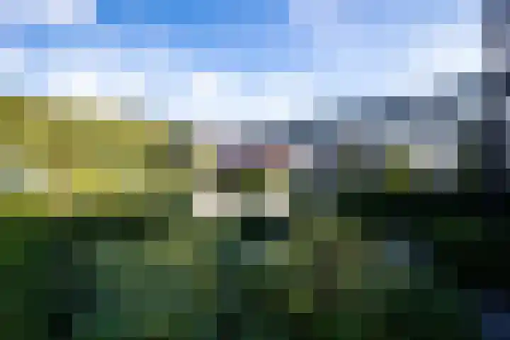 Oosteinde 23 Vriezenveen thumbnail 51