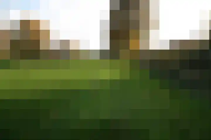 Oosteinde 23 Vriezenveen thumbnail 6