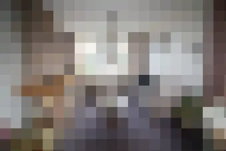 Oosteinde 23 Vriezenveen thumbnail 7