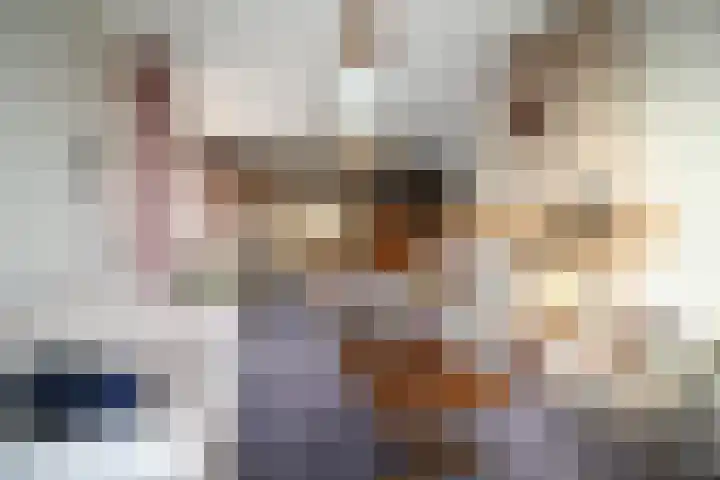 Oosteinde 23 Vriezenveen thumbnail 8