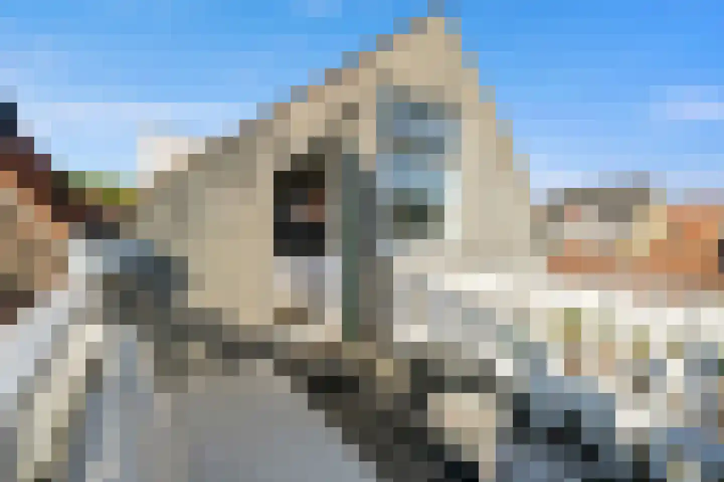 Oosteinde 232 A Delft thumbnail 25
