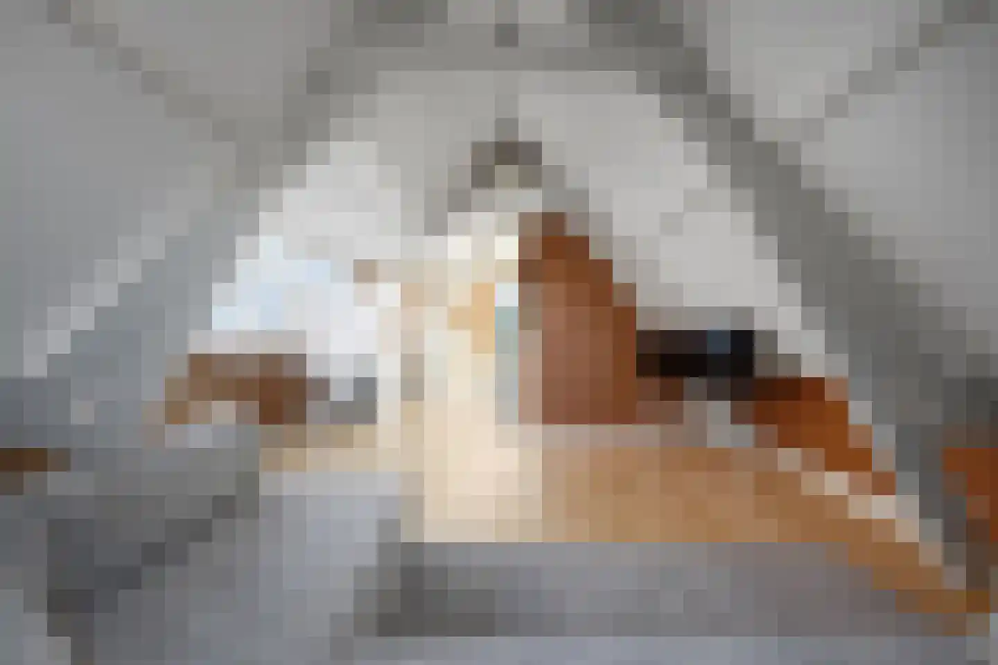 Oosteinde 232 A Delft thumbnail 34