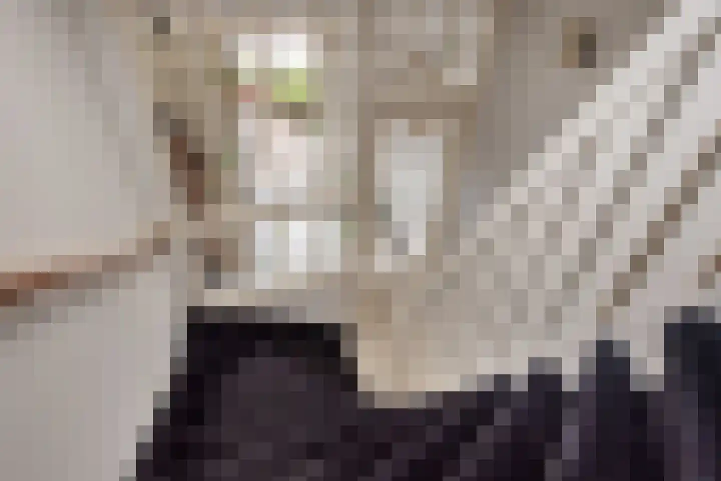Oosteinde 235 Voorburg thumbnail 10
