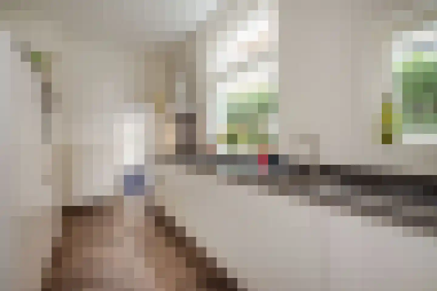 Oosteinde 235 Voorburg thumbnail 13