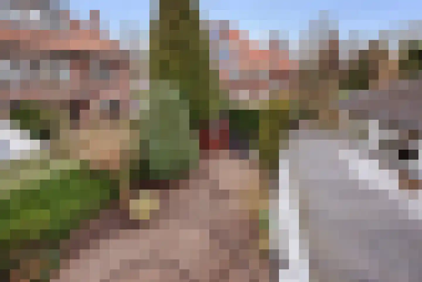 Oosteinde 235 Voorburg thumbnail 29