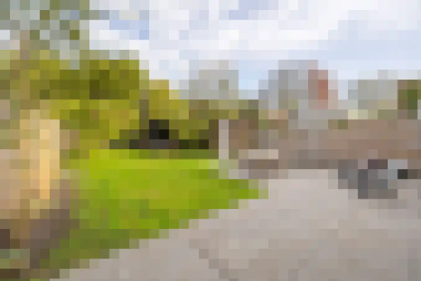 Oosteinde 239 Voorburg thumbnail 19