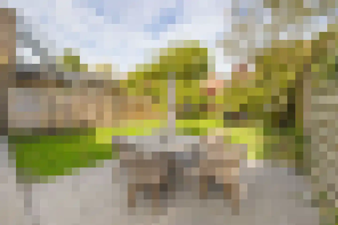 Oosteinde 239 Voorburg thumbnail 20