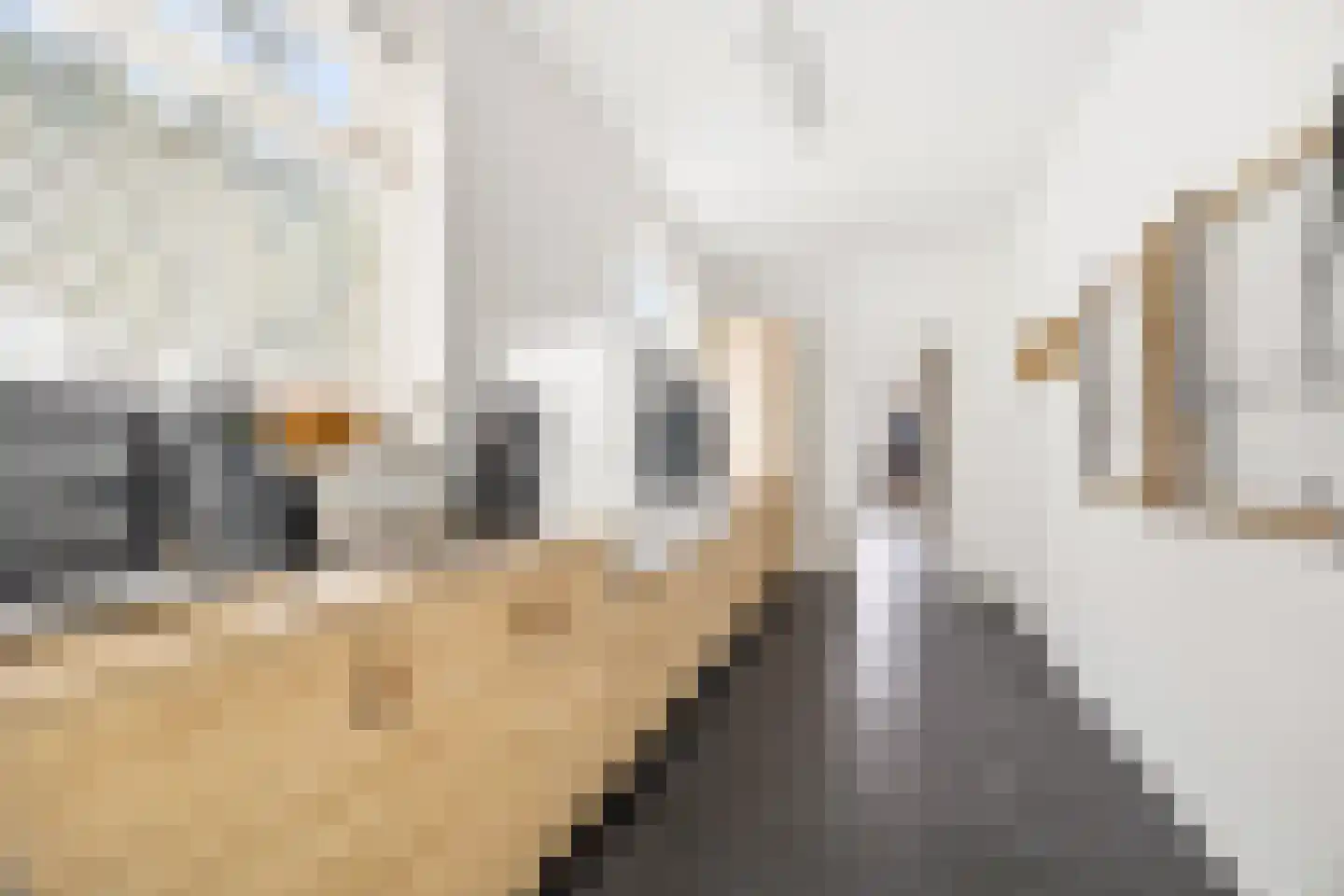 Oosteinde 239 Voorburg thumbnail 25