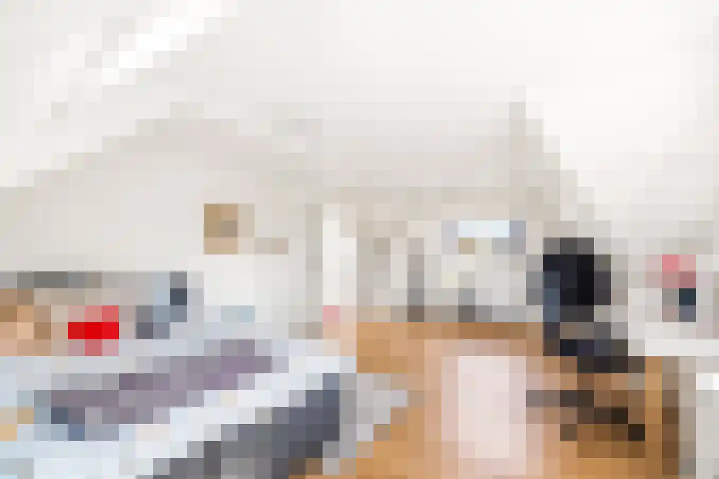 Oosteinde 239 Voorburg thumbnail 42