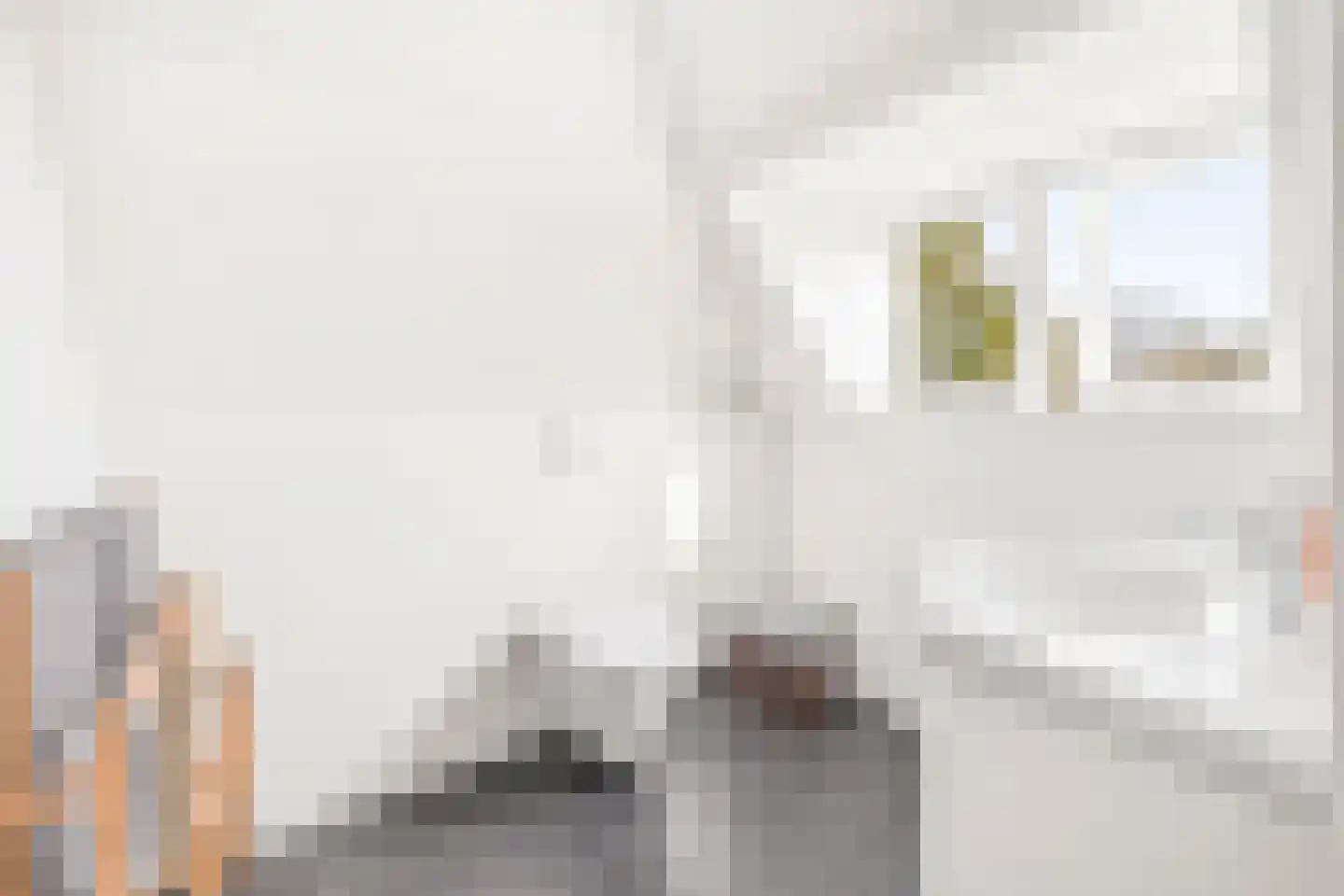 Oosteinde 239 Voorburg thumbnail 47
