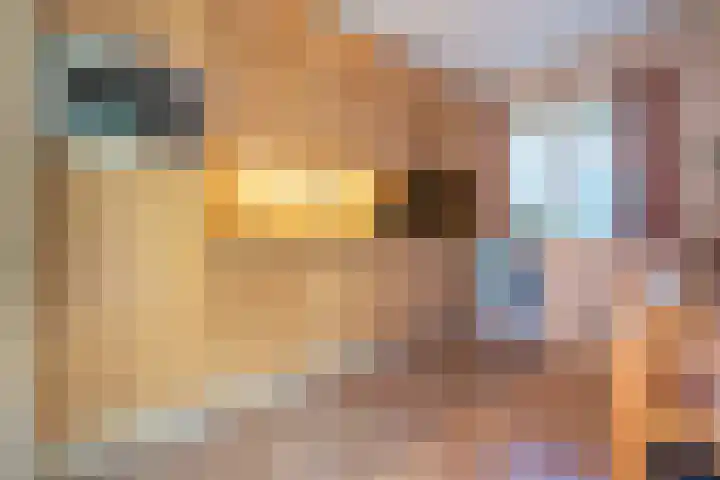Oosteinde 25 Berkhout thumbnail 15