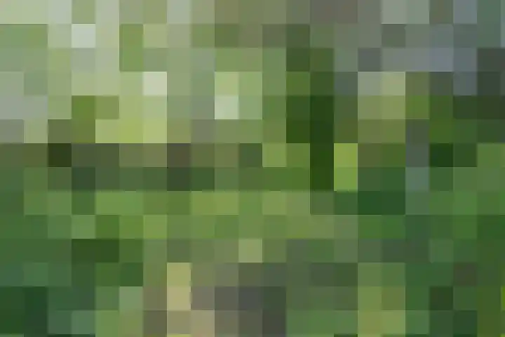Oosteinde 25 Berkhout thumbnail 19