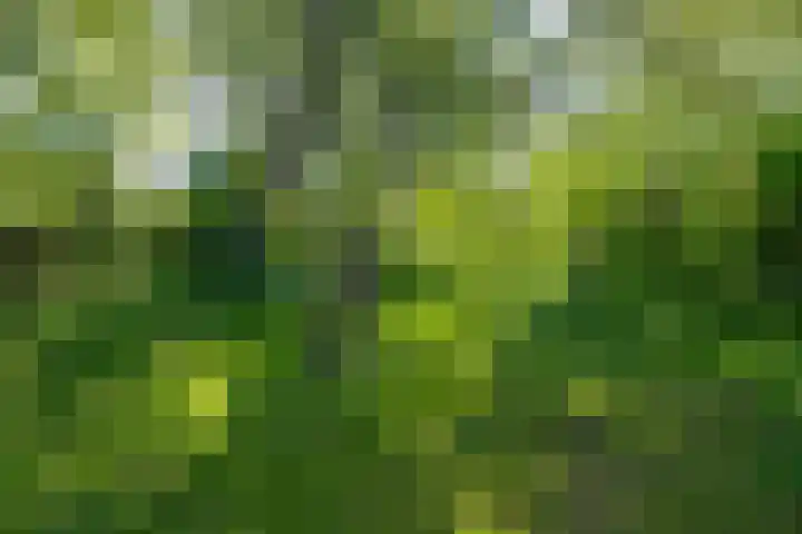 Oosteinde 25 Berkhout thumbnail 21